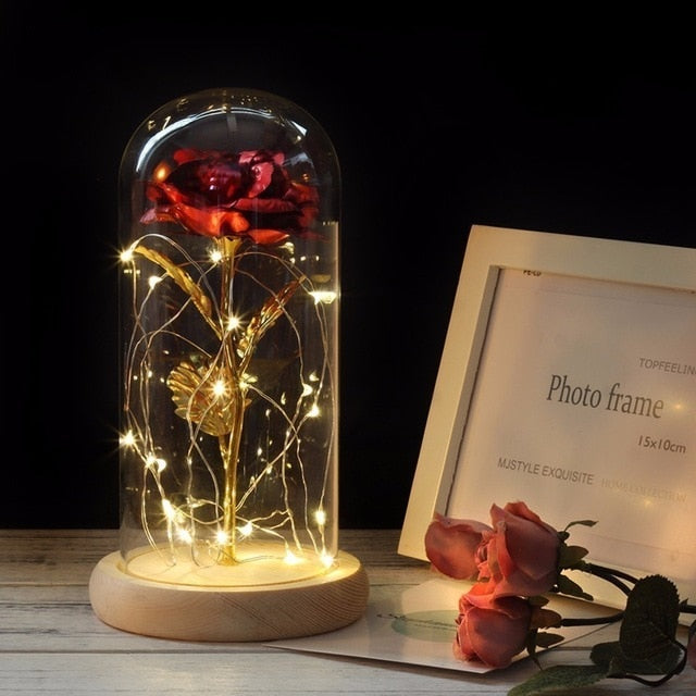 Medium Beauty and the Beast rose, Rose in glass dome, forever rose, red rose,special romantic gift Valentines Day Gift