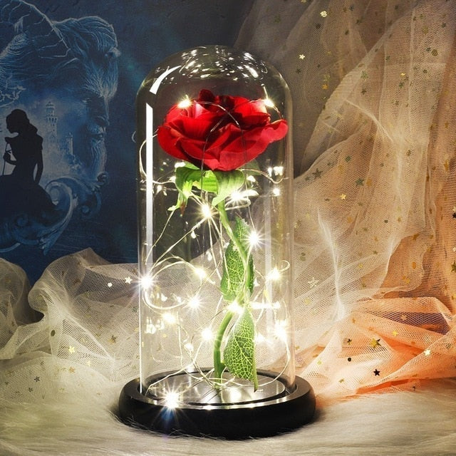 Medium Beauty and the Beast rose, Rose in glass dome, forever rose, red rose,special romantic gift Valentines Day Gift